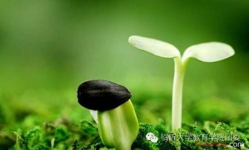 每天都超越自己一點點