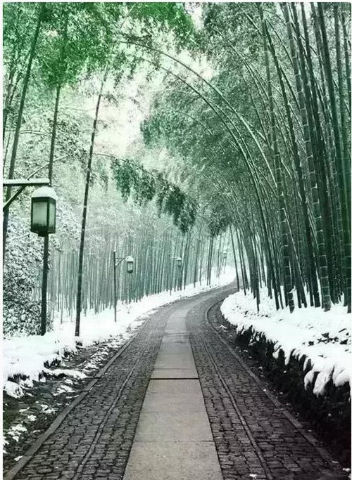 成功，就是在奮斗中把握機(jī)會(huì)